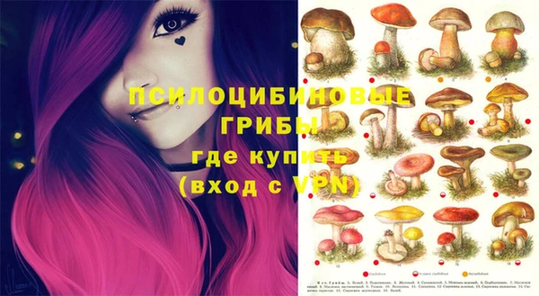 mix Инта