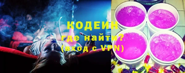 mix Инта